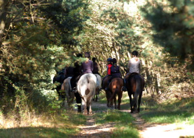 Paseos a caballo Una Vez en la Vida